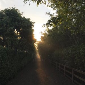 Meet your Posher, Ellie